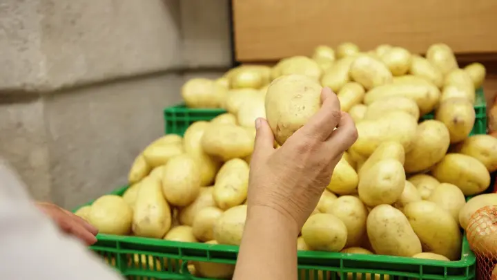 Россия стала пятой страной мира по производству картофеля