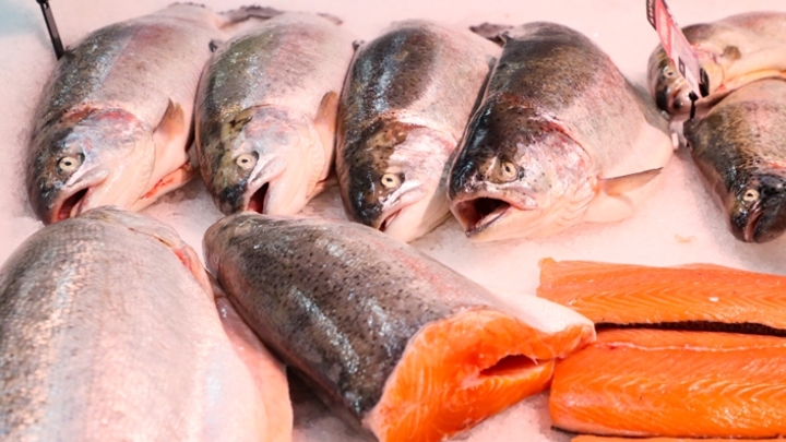 В Кузбассе обнаружены продукты из рыбы неизвестного происхождения