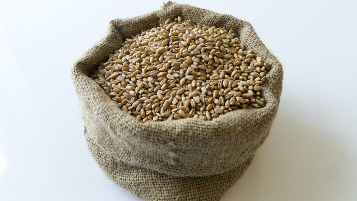 Россия напомнила США о забытой части зерновой сделки