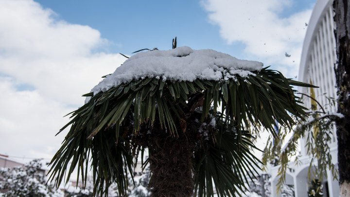 То леса горят, то снегом заметает: Турция испытывает русских аномалиями