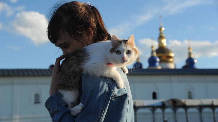 Коты и собаки - киборги: В Новосибирске ветеринары вживляют домашним животным уникальные протезы