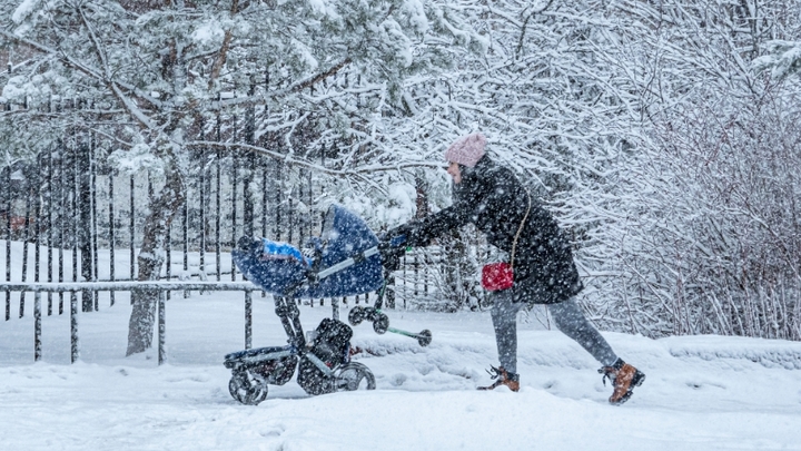 Во Владимире объявлен желтый уровень погодной опасности: снег и гололедица