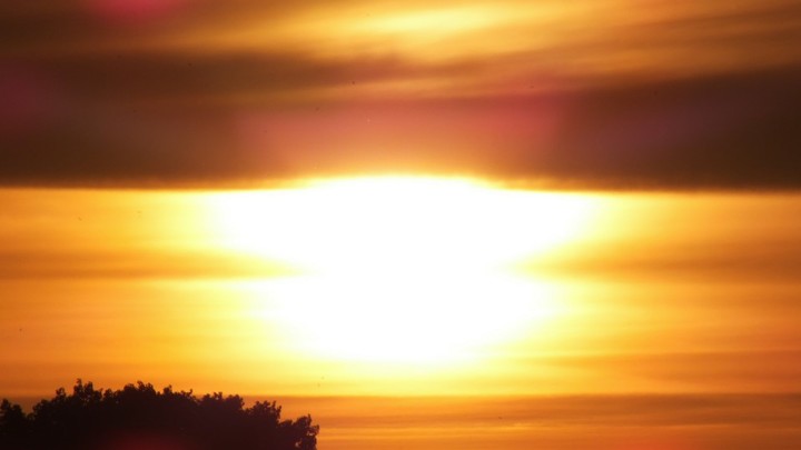 Жара способна влиять на настроение и память. Разъяснение дала психиатр Филинова