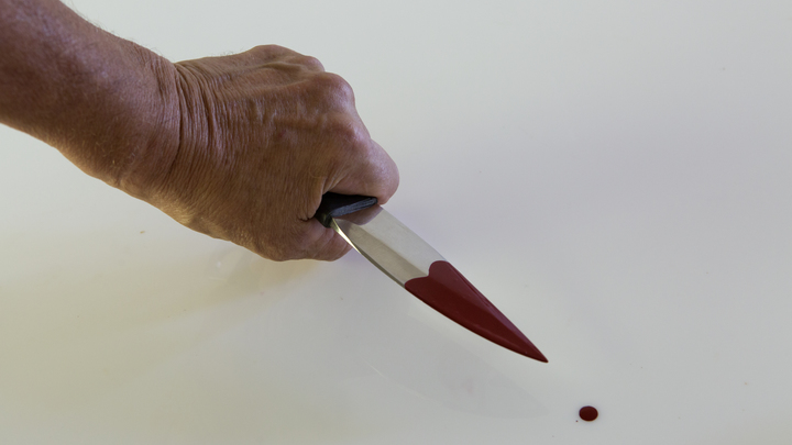 В Новосибирской области пьяная 59-летняя женщина ударила ножом сожителя