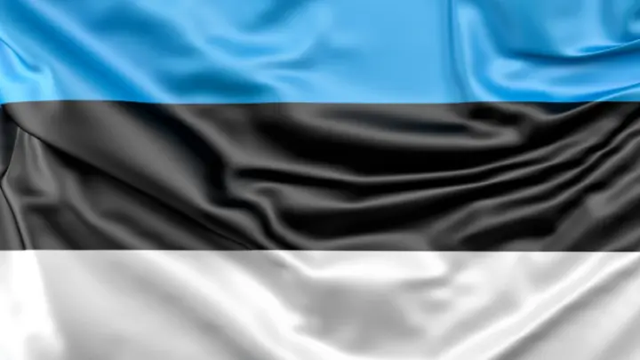 Зеленский подписал соглашение по БПЛА с премьером Эстонии