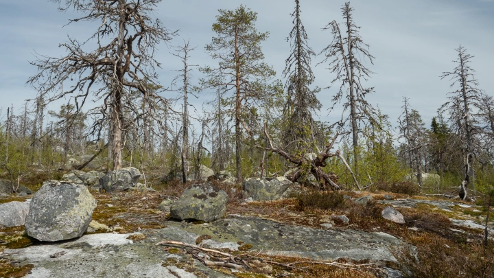 Стала известна тайна отношений Ирины Усольцевой с сыном: вот что он скрывает от всех