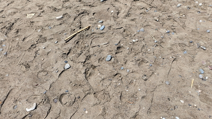 Учёные обнаружили у человека «седьмое чувство» — дистанционное осязание