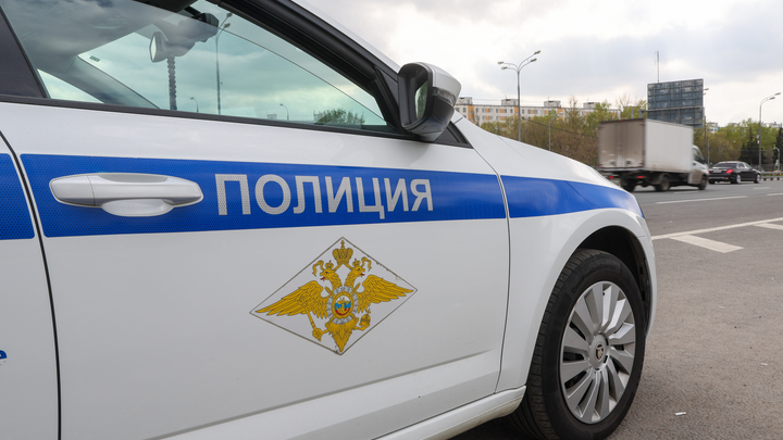 В Чехове во время рейда поймали 16 нелегальных мигрантов