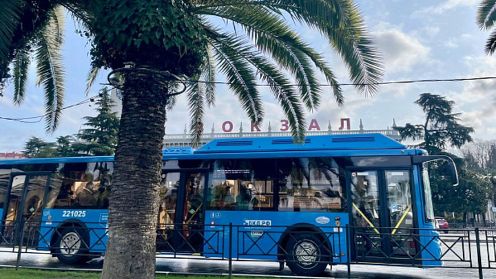 В Сочи начали отбор волонтёров для Всемирного фестиваля молодежи