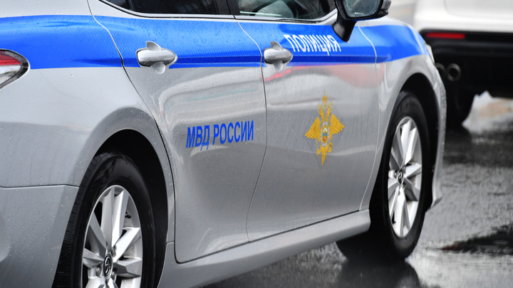 Пьяная девушка выстрелила в полицейских через дверь квартиры в Петербурге