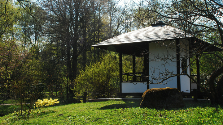 Туристы отказываются ехать в Японию. Причина оказалась неочевидной