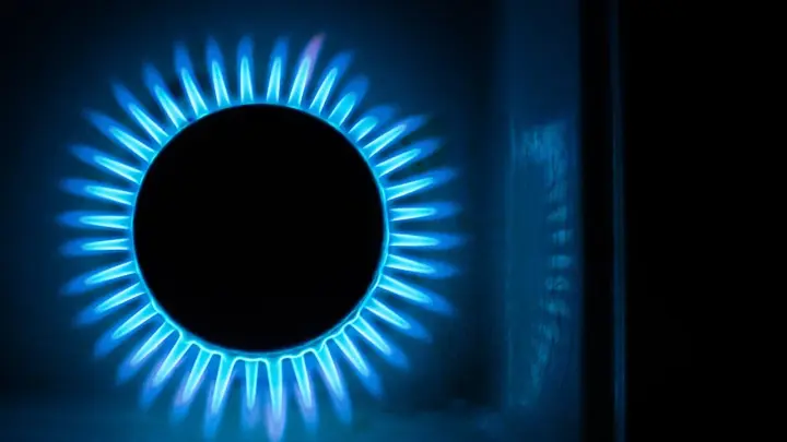 Жители Эстонии пожаловались на новые газовые тарифы: «Безнаказанность и наглость»