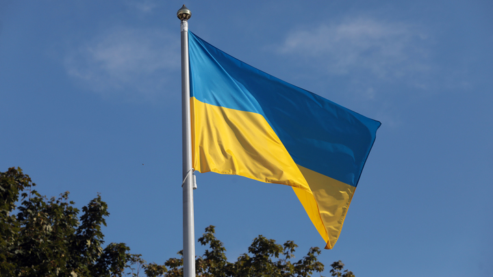 А у нас ещё клянчат: В Киеве потребовали вернуть украинские миллиарды