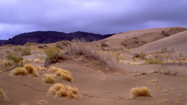 Суперкомпьютер предрёк человечеству катастрофу: цивилизация может исчезнуть в ближайшие 15 лет