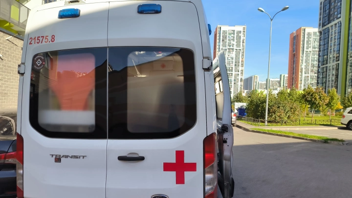 Поехали, я в роддом собралась: мигранты нашли лазейку для бесплатных родов — снова платят русские