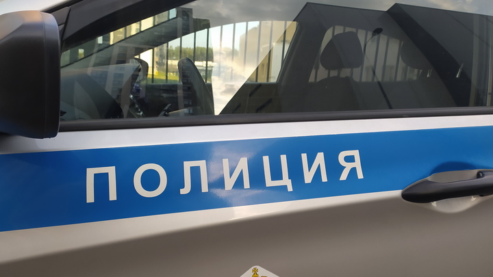 В Новосибирске тело женщины с мёртвым котом найдено под окнами многоэтажки