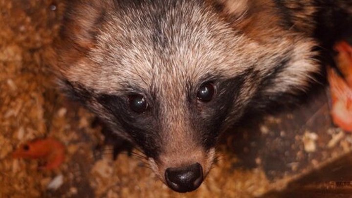 Фото: АГН Москва/Предоставлено пресс-службой зоопарка.