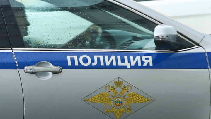 Банда поджигателей из Петербурга могла действовать по указке украинского блогера