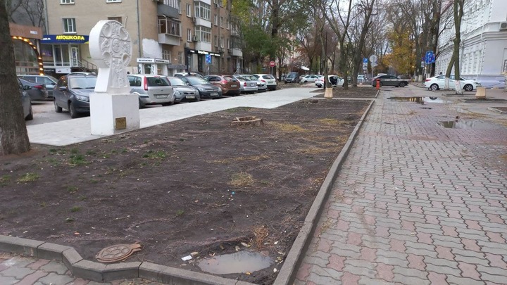 После резких высказываний горожан, власти Ростова пообещали высадить 40 саженцев на Университетском