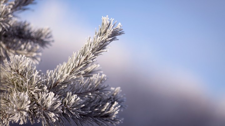 Холод возвращается: В России резко изменится погода