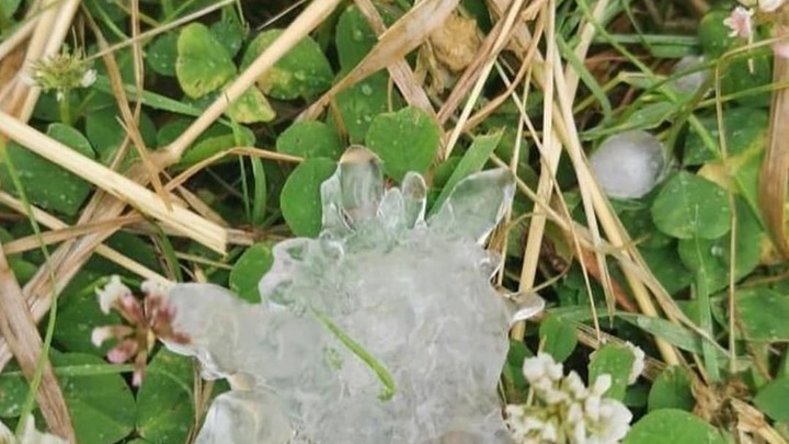 На Кубани выпал град в форме коронавируса