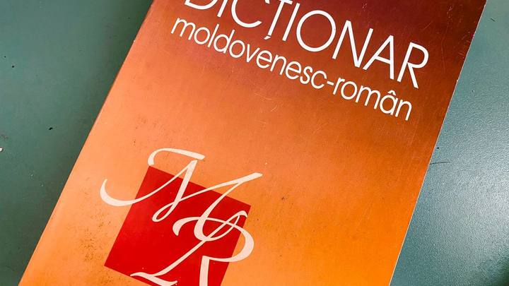 Академия наук Молдавии поддержала идею переименования «молдавского» языка в «румынский»