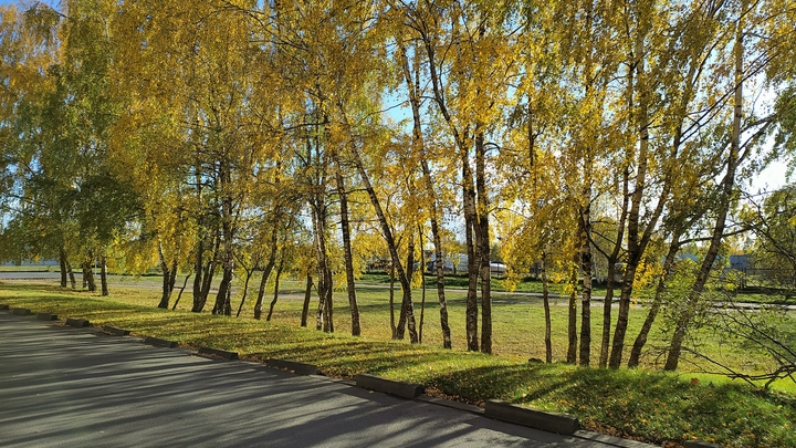 В Молдове резко похолодает: прощай, «бабье лето», привет, настоящая осень!