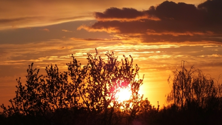 В Кузбассе до  конца недели установилась теплая солнечная погода