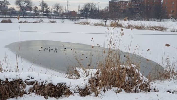 Жителей Краснодара просят не выходить на тонкий лед