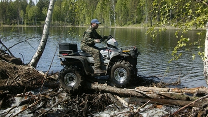 Власти Подмосковья заманивают туристов отдыхом на квадроциклах