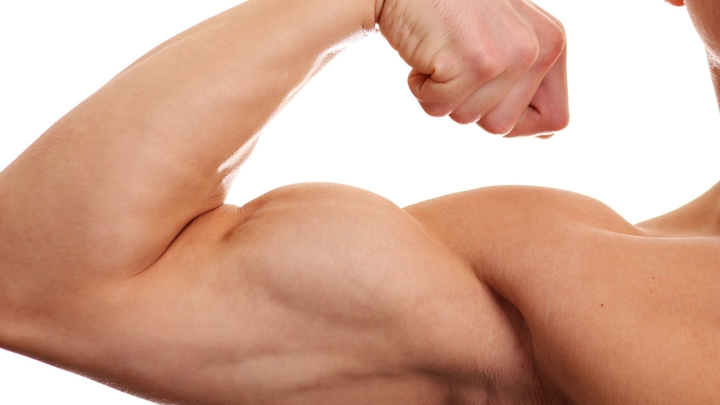 Американские учёные нашли замену занятиям спортом: Найден белок, имитирующий эффекты тренировок