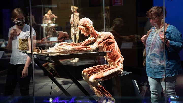 Пора включать нашему государству мозги: Знаменитый режиссёр потребовал закрыть шоу мертвецов