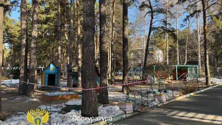 В Новосибирске сосна рухнула на воспитанника детсада: что случилось с ребёнком