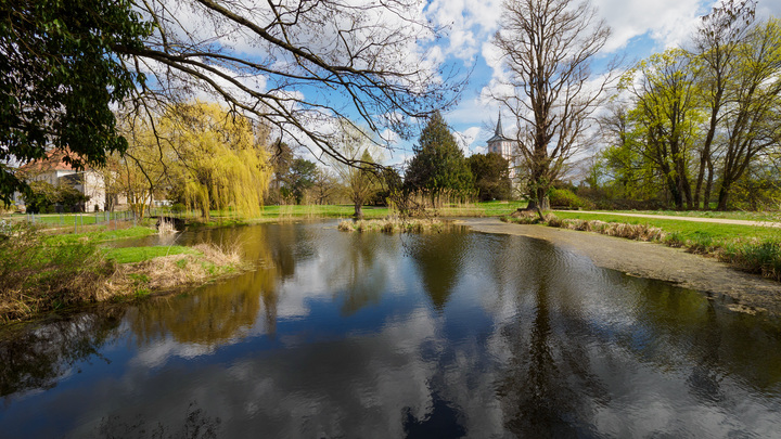 Журналисты показали поместье мэра города Алёшки