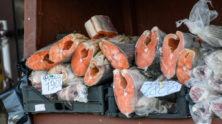 Лососёвые не по карману: Добытчики предрекли резкий рост цен на красную рыбу
