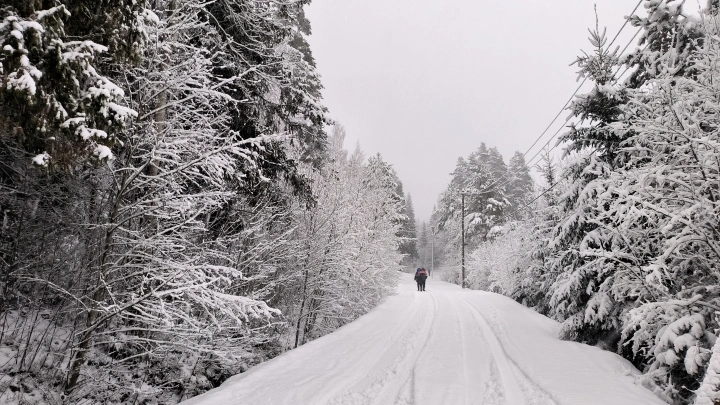 Юг России накрыла мощная метель. Когда закончится снегопад