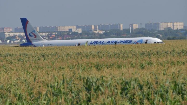 Чудо на кукурузном поле: Самолёт Уральских авиалиний после столкновения с птицами мог продолжить полёт, но теоретически и без гарантий