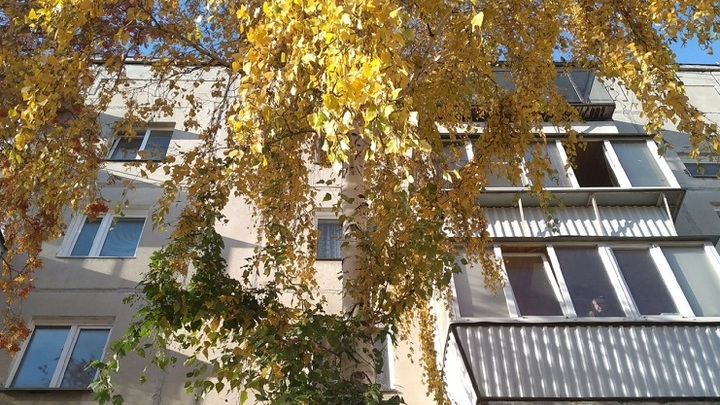 В Ростове-на-Дону бабушка выбросилась с балкона третьего этажа на проспекте Стачки