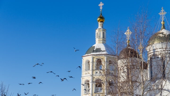 Православные христиане 14 февраля отмечают Трифонов день