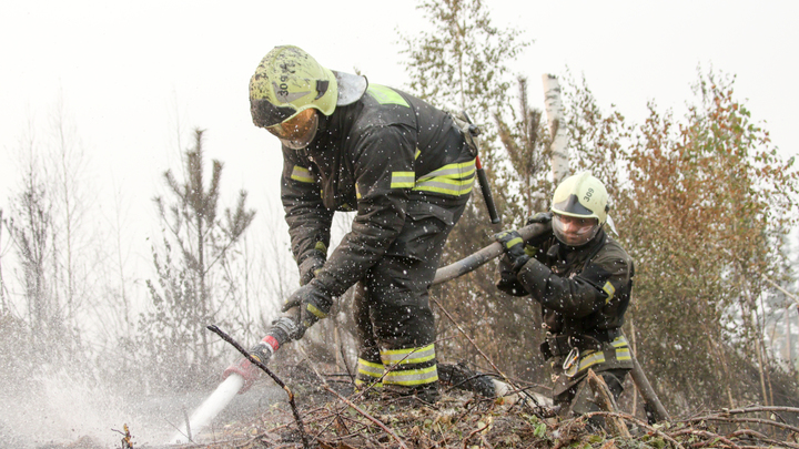 В Геленджике окончательно ликвидировали крупный лесной пожар