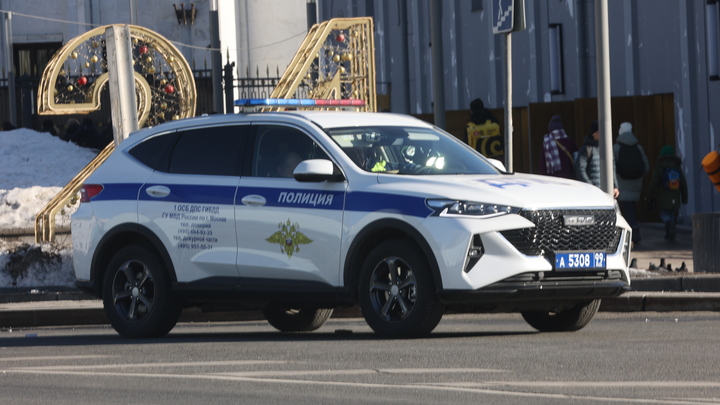 Дебошира с пистолетом в Петербурге сначала ловили полицейские, а потом спасали МЧС