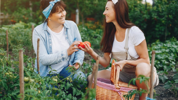 Лунный календарь для садовода и огородника: 22 июля можно удобрять почву