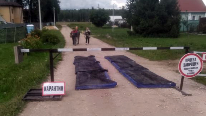 В Ковровском районе из-за африканской чумы свиней появились КПП, шлагбаумы и рвы
