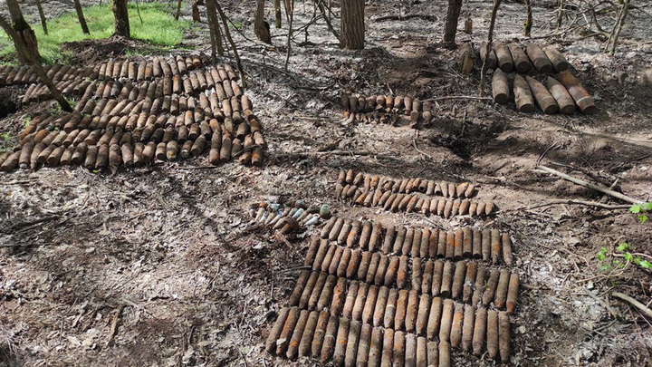 На Кубани уничтожили более 300 снарядов и мин времён ВОВ