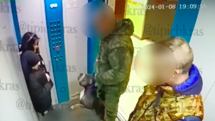 Бастрыкин поручил возбудить дело по факту нападения собаки на ребёнка в лифте многоэтажки Краснодара