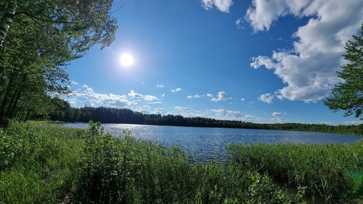 В 9 озёрах Нижнего Новгорода нельзя купаться