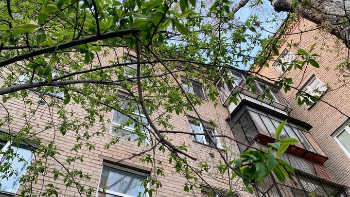 В Самарскую область придут жара +30, грозы и порывистый ветер