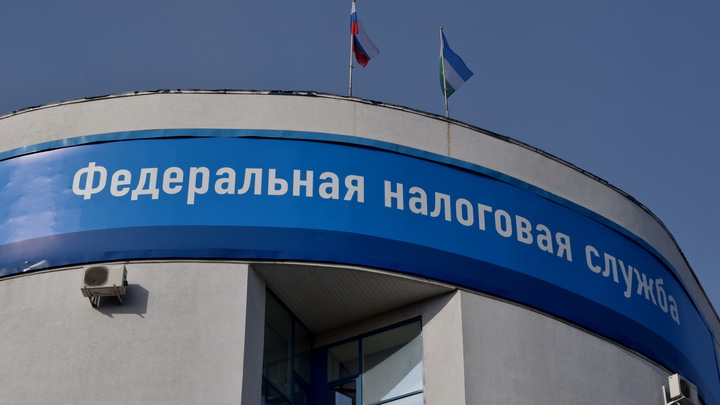 Уроки Блиновской: как узнать о предстоящей выездной проверке налоговых органов