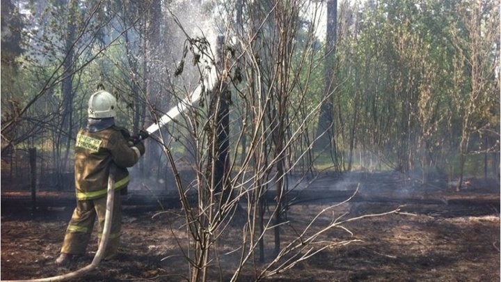 В Ивановской области ликвидировали еще один лесной пожар