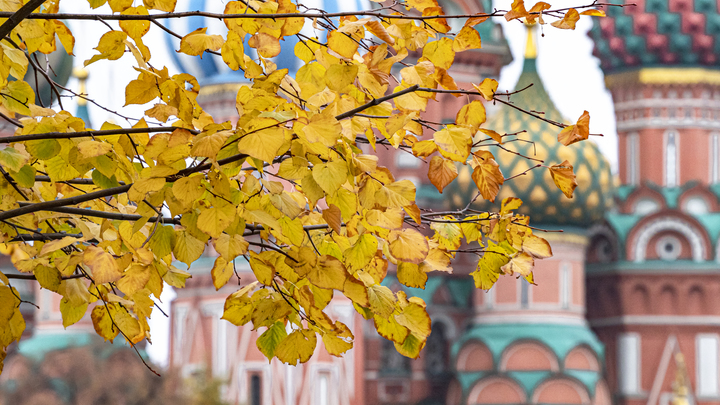 Погода в Москве на выходные 25 и 26 сентября: Началась золотая осень